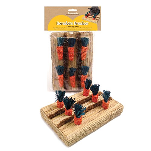 Rosewood Boredom Breaker Carré de Carottes et Jouet d'Activité pour Petits Animaux
