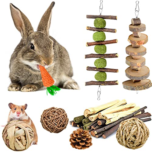 Jouer 2024 pour lapin